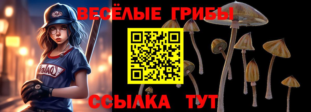 Балашов  Галлюциногенные грибы Magic Shrooms  Вход с VPN 